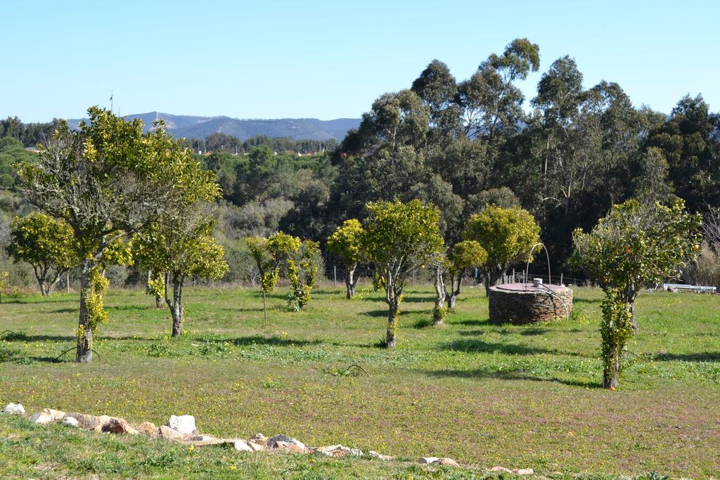 Herdade Do Freixial - Turismo Rural Vila Nova de Milfontes Kültér fotó